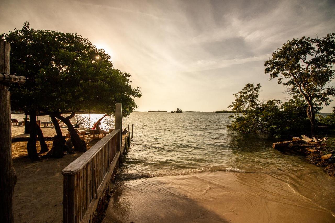 Isla Los Erizos EcoHouse Isla Grande  Exterior foto